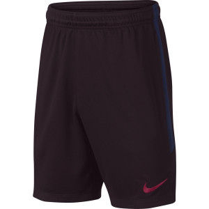 NIKE BARCELONE TRG SHORT JUNIOR MARRON 2019/2020