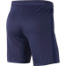 NIKE FFF SHORT EXTERIEUR 2020