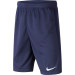 NIKE FFF SHORT EXTERIEUR JUNIOR 2020