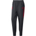 ADIDAS BAYERN PRE PANT ANTHRACITE 2020/2021
