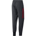 ADIDAS BAYERN PRE PANT ANTHRACITE 2020/2021