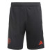 ADIDAS MANCHESTER UNITED TRG SHORT NOIR 2023/2024